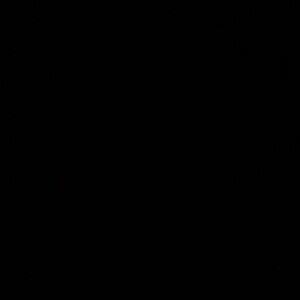 I don’t use the payment system through Poshmark, I take any form of payment to #